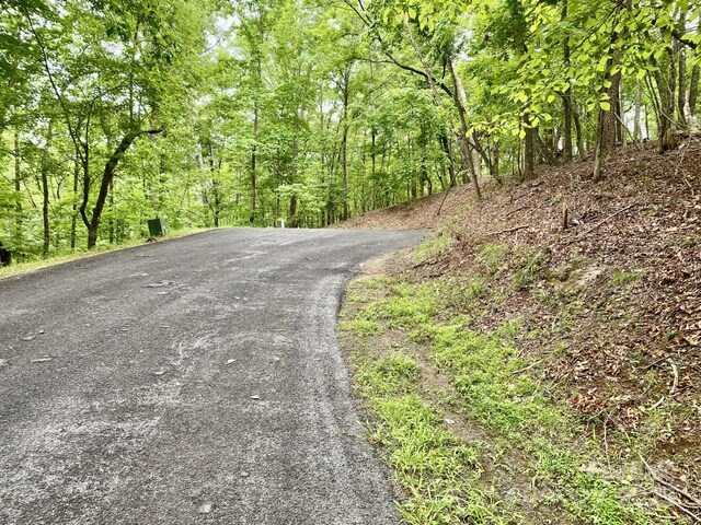 0 Granny Smith Ln Lot # 30, Lake Lure, NC 28746