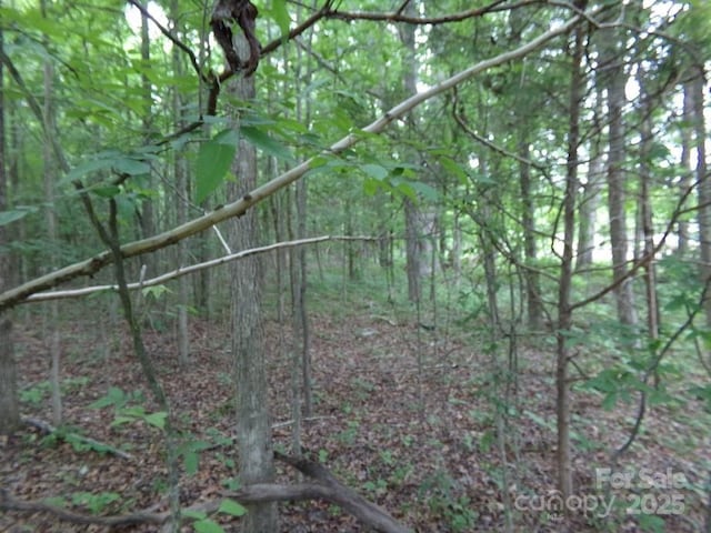 1.5AC Pinckney Rd, Chester, SC 29706 - photo 4