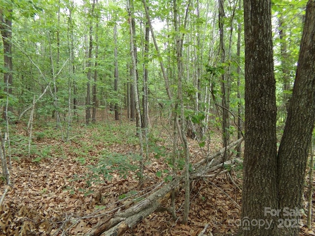 1.5AC Pinckney Rd, Chester, SC 29706 - photo 6