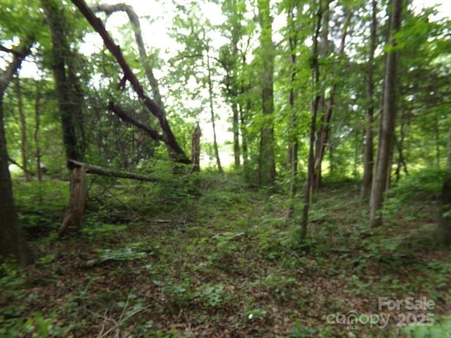 1.5AC Pinckney Rd, Chester, SC 29706 - photo 7