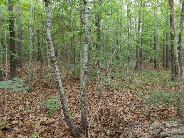1.5AC Pinckney Rd, Chester, SC 29706 - photo 8