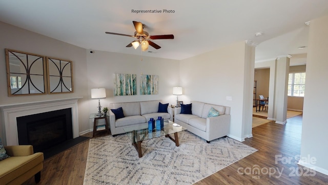 living area featuring ceiling fan, wood finished floors, and baseboards