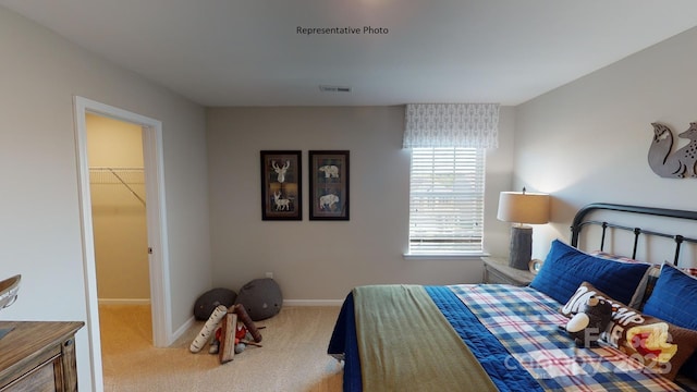bedroom featuring carpet floors, baseboards, and a spacious closet