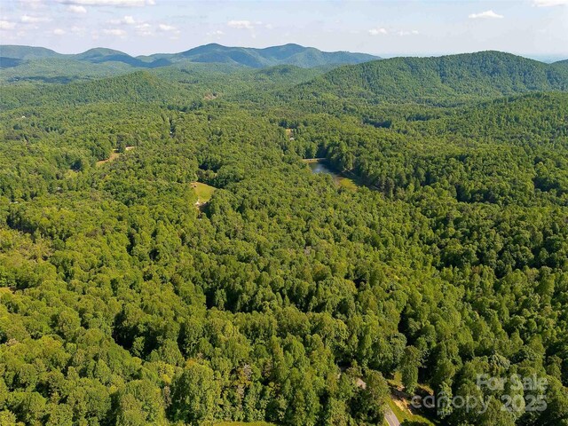 151 Heatherly Heights Rd, Saluda, NC 28773 - photo 23