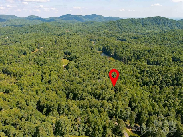 151 Heatherly Heights Rd, Saluda, NC 28773 - photo 19