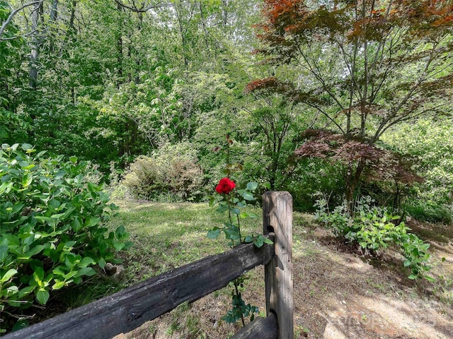 151 Heatherly Heights Rd, Saluda, NC 28773 - photo 11