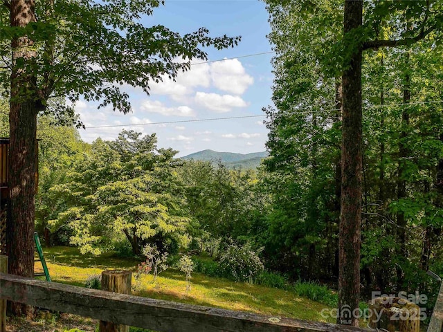 151 Heatherly Heights Rd, Saluda, NC 28773 - photo 13