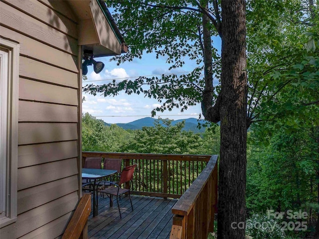 151 Heatherly Heights Rd, Saluda, NC 28773 - photo 14
