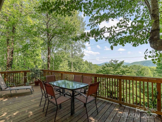 151 Heatherly Heights Rd, Saluda, NC 28773 - photo 15
