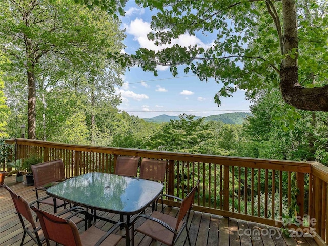 151 Heatherly Heights Rd, Saluda, NC 28773 - photo 16