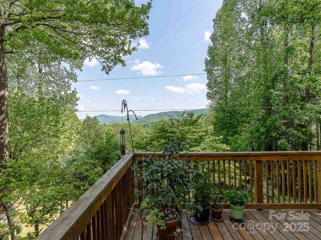 151 Heatherly Heights Rd, Saluda, NC 28773 - photo 17