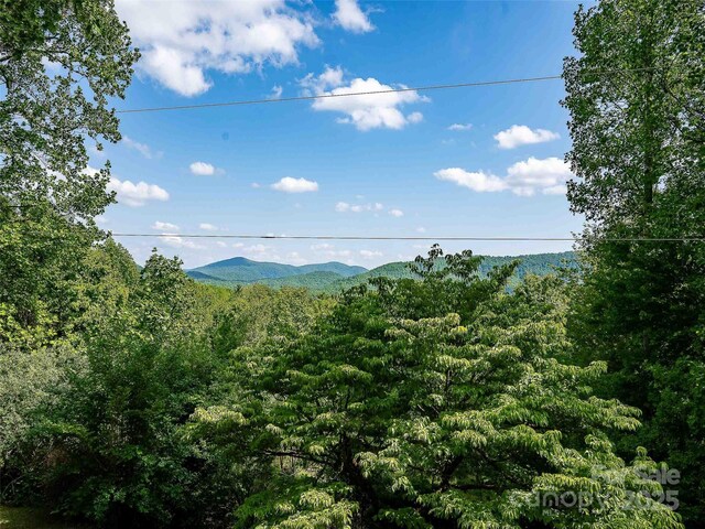 151 Heatherly Heights Rd, Saluda, NC 28773 - photo 20