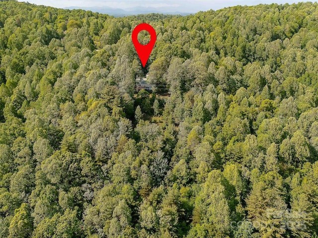 151 Heatherly Heights Rd, Saluda, NC 28773 - photo 22