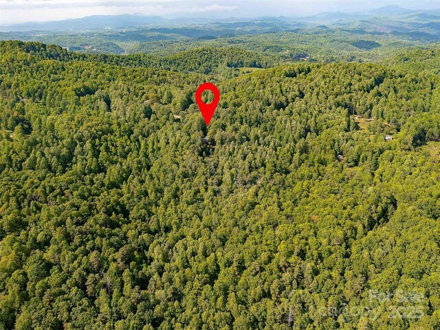 151 Heatherly Heights Rd, Saluda, NC 28773 - photo 24
