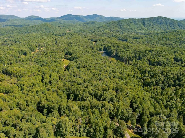 151 Heatherly Heights Rd, Saluda, NC 28773 - photo 26
