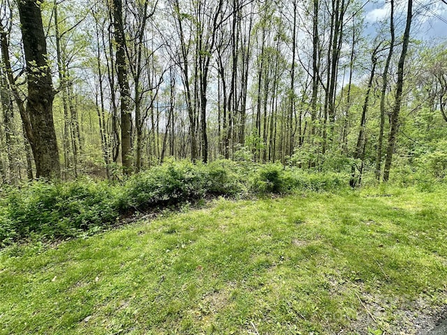1 Deer Creek Trl, Maggie Valley, NC 28751