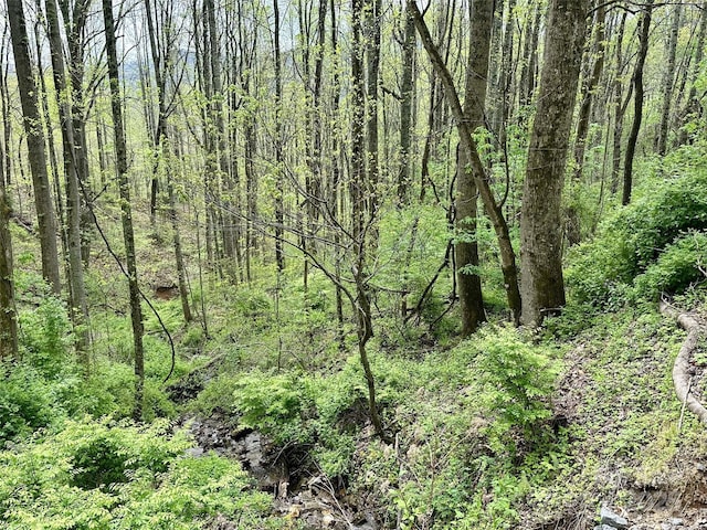 1 Deer Creek Trl, Maggie Valley, NC 28751
