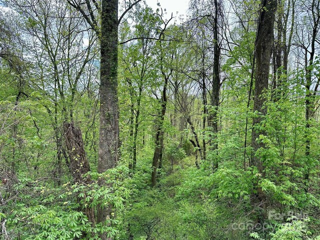 1 Deer Creek Trl, Maggie Valley, NC 28751