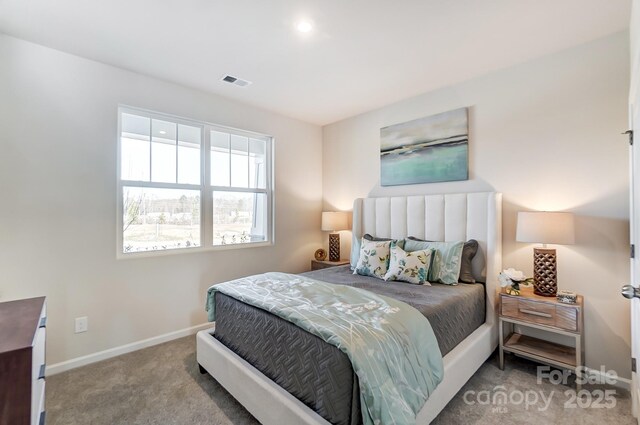 2636 Tillman St, Monroe, NC 28112 - bedroom with baseboards and carpet floors
