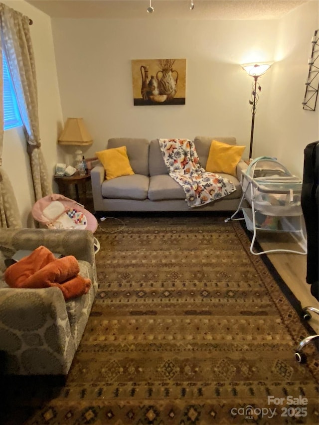 5309 Lewis Rd, Gastonia, NC 28052 - view of living area