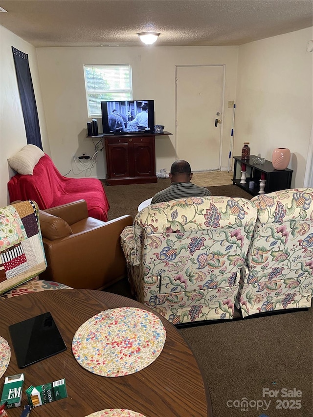 5309 Lewis Rd, Gastonia, NC 28052 - living area featuring carpet floors and a textured ceiling