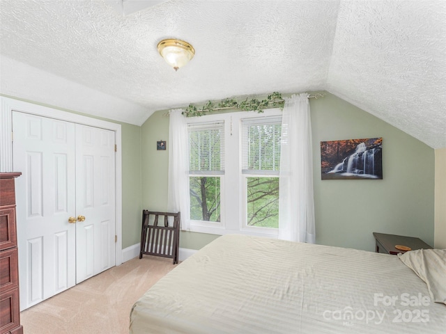 10 Gardening Frog Trl, Waynesville, NC 28785 - bedroom with lofted ceiling, a textured ceiling, carpet, a closet, and baseboards