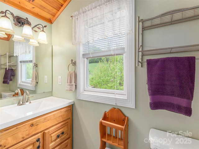 10 Gardening Frog Trl, Waynesville, NC 28785 - half bath featuring toilet, lofted ceiling, vanity, and wood ceiling