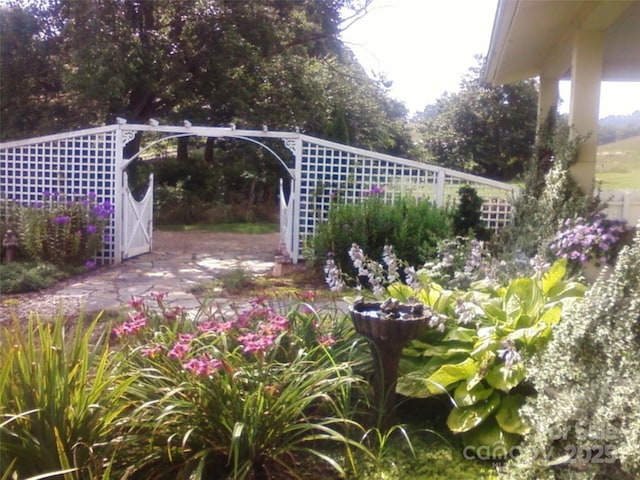 10 Gardening Frog Trl, Waynesville, NC 28785 - view of yard