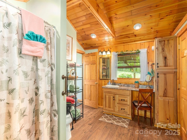 10 Gardening Frog Trl, Waynesville, NC 28785 - bathroom featuring wooden ceiling, vanity, lofted ceiling, wood finished floors, and toilet