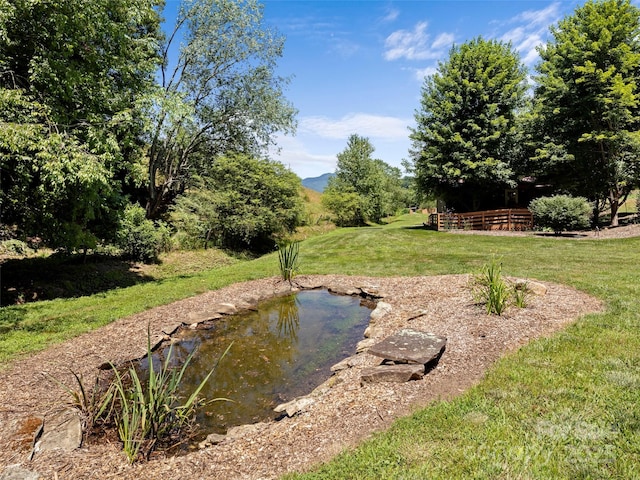 10 Gardening Frog Trl, Waynesville, NC 28785 - photo 40
