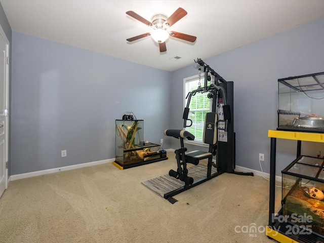 3224 Dunbar Ln, Fort Mill, SC 29707 - workout room featuring carpet floors, a ceiling fan, and baseboards