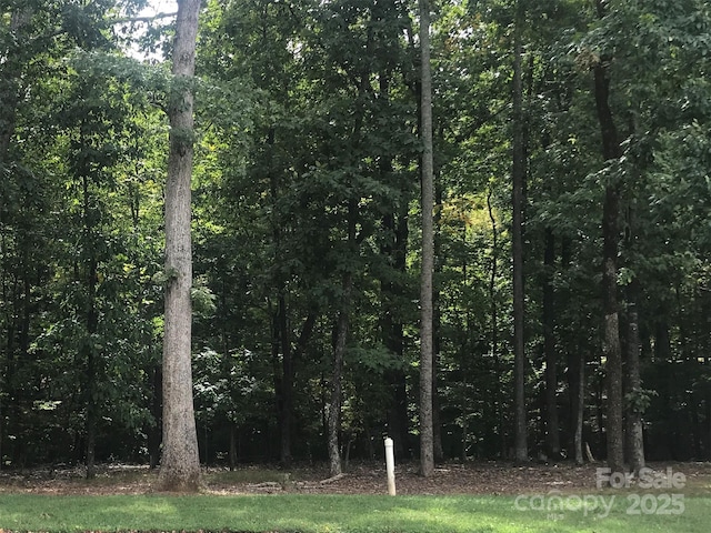 6107 Volte Dr Unit 98, Mint Hill, NC 28227 - photo 1