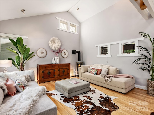 11 Kenilworth Rd, Asheville, NC 28803 - living area with high vaulted ceiling, wood finished floors, and a wood stove