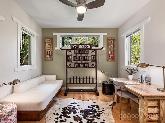 11 Kenilworth Rd, Asheville, NC 28803 - sitting room featuring plenty of natural light, light wood-style flooring, ceiling fan, and baseboards