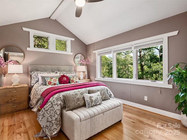 11 Kenilworth Rd, Asheville, NC 28803 - bedroom with multiple windows, wood finished floors, baseboards, and a ceiling fan
