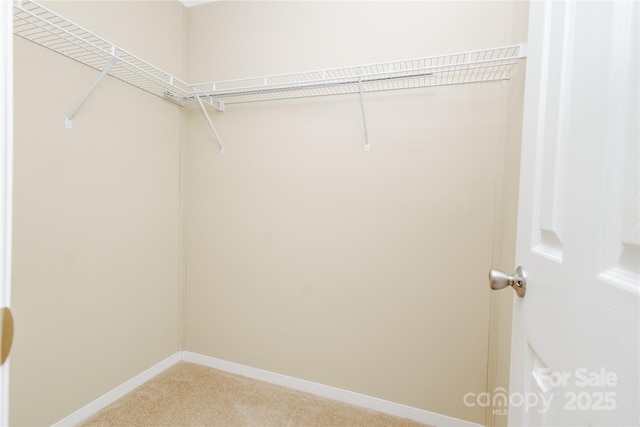 3499 Fairview Rd, Nebo, NC 28761 - spacious closet with light colored carpet