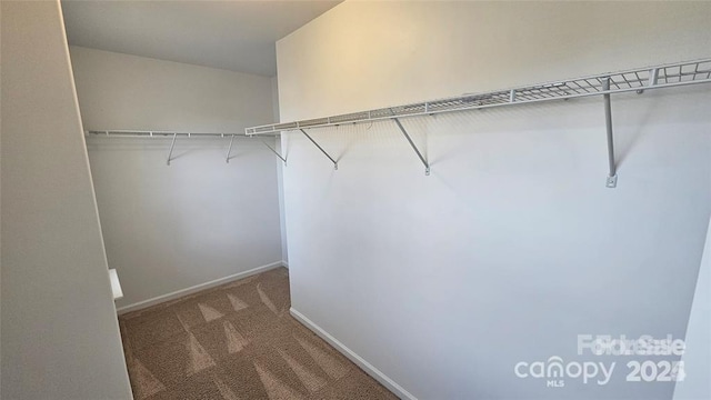 5823 Natick Dr, Charlotte, NC 28214 - walk in closet with carpet floors