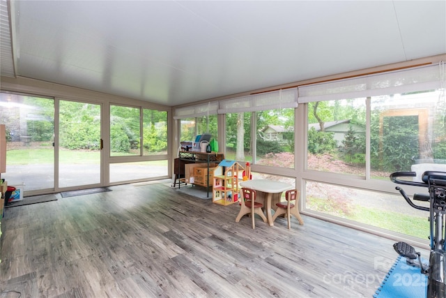 109 Wilkie Way, Fletcher, NC 28732 - sunroom / solarium featuring wood finished floors