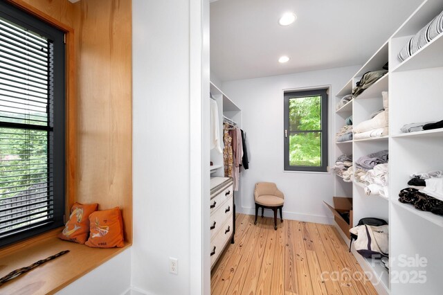 53 Buchanan Pl, Asheville, NC 28801 - photo 15