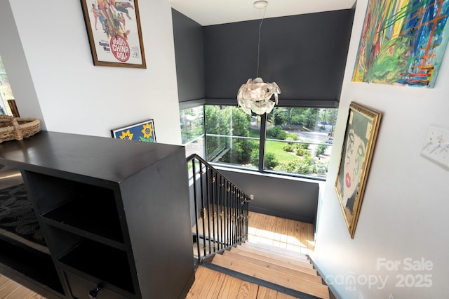 53 Buchanan Pl, Asheville, NC 28801 - photo 26