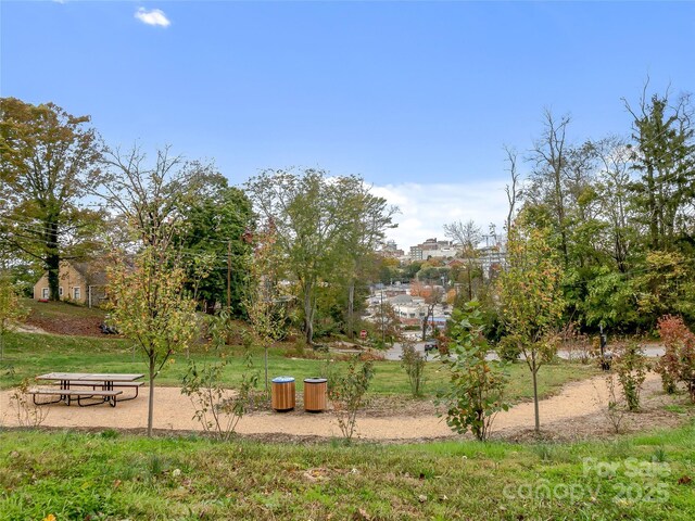 53 Buchanan Pl, Asheville, NC 28801 - photo 35