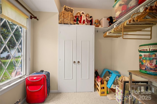 64 Persimmon Hill Dr Unit 4, Columbus, NC 28722 - view of storage room