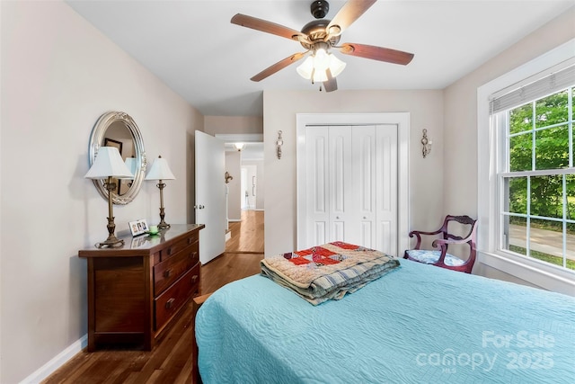 204 S Elm St, Cherryville, NC 28021 - bedroom featuring dark wood-style floors, a closet, baseboards, and ceiling fan