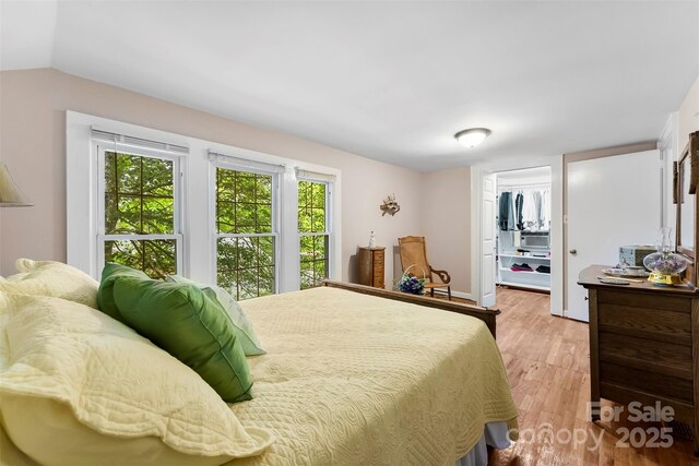 204 S Elm St, Cherryville, NC 28021 - bedroom with multiple windows, light wood-style flooring, a walk in closet, a closet, and vaulted ceiling