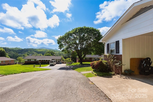 158 Morning Dr, Waynesville, NC 28786 - photo 17