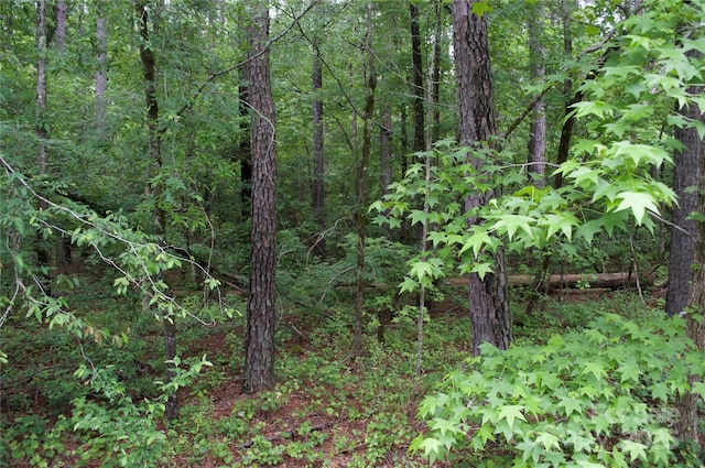 7902 Gulf Creek Rd, Lancaster, SC 29720