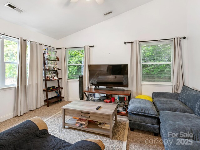308 N Whitted St, Hendersonville, NC 28739 - photo 6