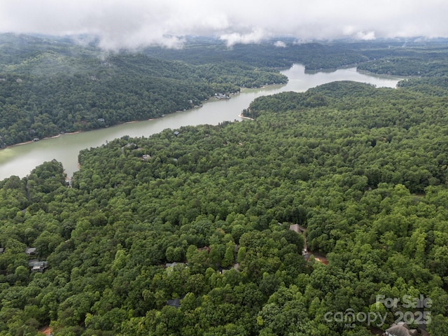 273 Bluebird Rd, Lake Lure, NC 28746 - drone / aerial view of a forest and a large body of water