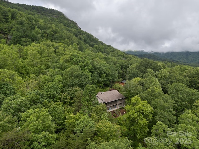 273 Bluebird Rd, Lake Lure, NC 28746 - view of subject property featuring a heavily wooded area