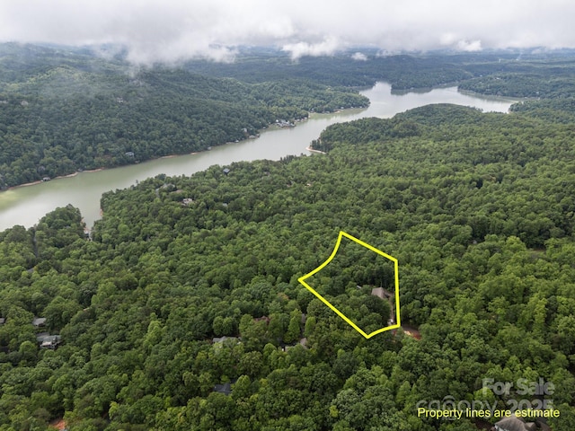 273 Bluebird Rd, Lake Lure, NC 28746 - view of property location with a heavily wooded area, a nearby body of water, and property parcel outlined